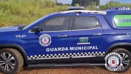 Ratão-do-banhado é resgatado de residência em Arapongas
