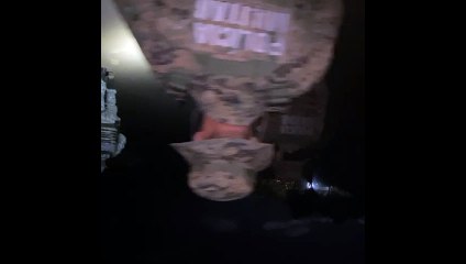 Autoridades baianas realizam resgate de tartarugas marinhas em Salvador; saiba mais