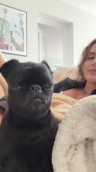 Dog Seems Unimpressed Looking At Herself on Selfie Camera