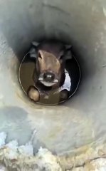 Quelqu'un a besoin d'une corde je crois