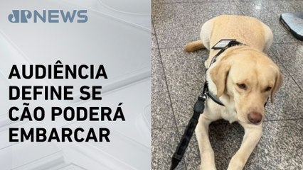 Justiça marca audiência após TAP negar embarque de cão de criança autista