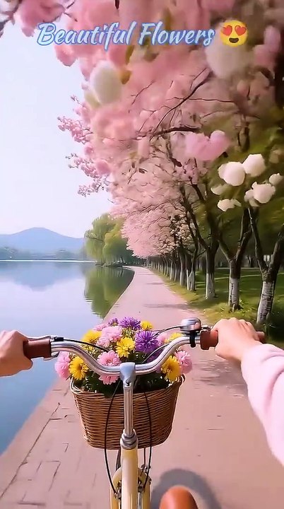 beautiful_flowers_flowers_nature_flower_flowergarden_shorts_rose_travel_beautiful_garden😄💖🎉