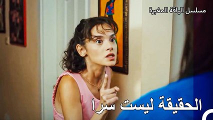 علمت زينب بجميع الحقائق  - مسلسل الياقة المغبرة 36