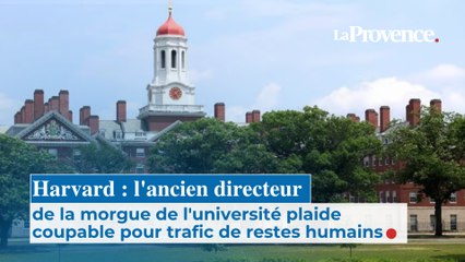 Harvard : l'ancien directeur de la morgue  de l'université plaide coupable  pour trafic de restes humains