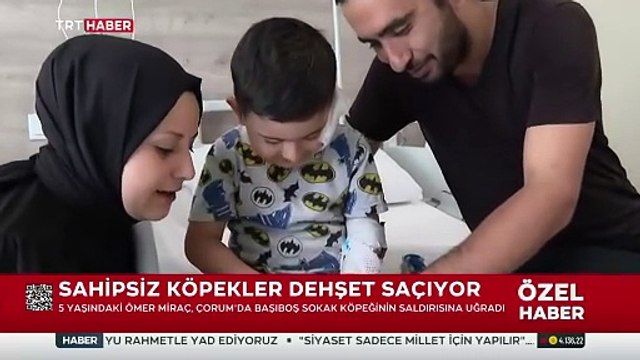 5 yaşındaki Ömer başıboş sokak köpeğinin saldırısına uğradı