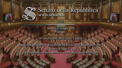 Roma -  Partecipazione italiana a Banche e a Fondi multilaterali di sviluppo (27.05.25)