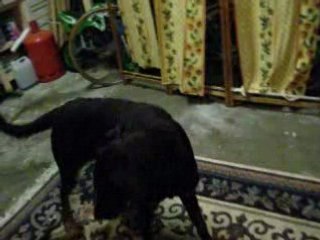 caly a l'hôtel doberland