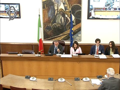 Roma - Prestazioni sanitarie - Audizioni - FIASO, AIOP - ANAAO-ASSOMED, SMI, NURSIND - CONFERENZA STATO-REGIONI - C. 2365 Governo (27.05.25)