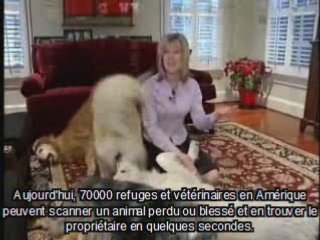 Passport Biometrique et Puce sous la peau...une realité