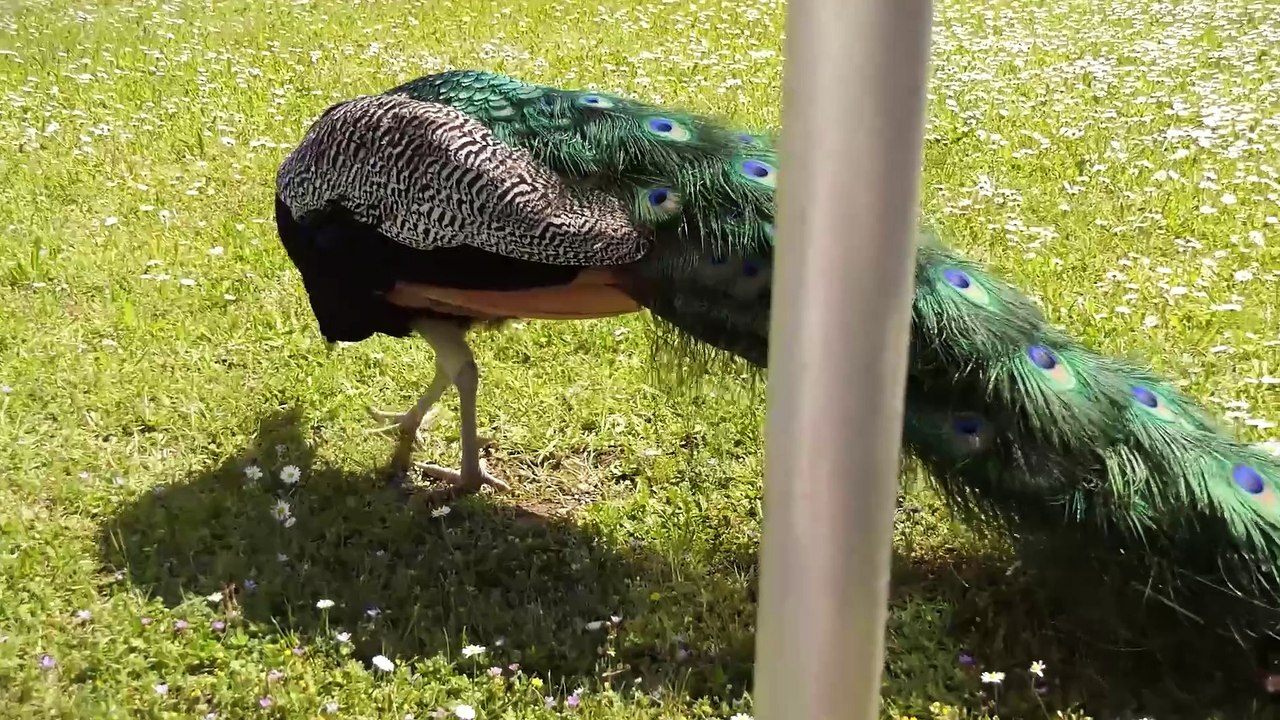 Der neuen Wassererlebnispfad auf Schloss Hof