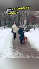 🐶 Dog saves Grandma’s money from thief girl 💵👵🚨