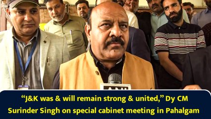 “J&K was & will remain strong & united,” Dy CM Surinder Singh on special cabinet meeting in Pahalgam