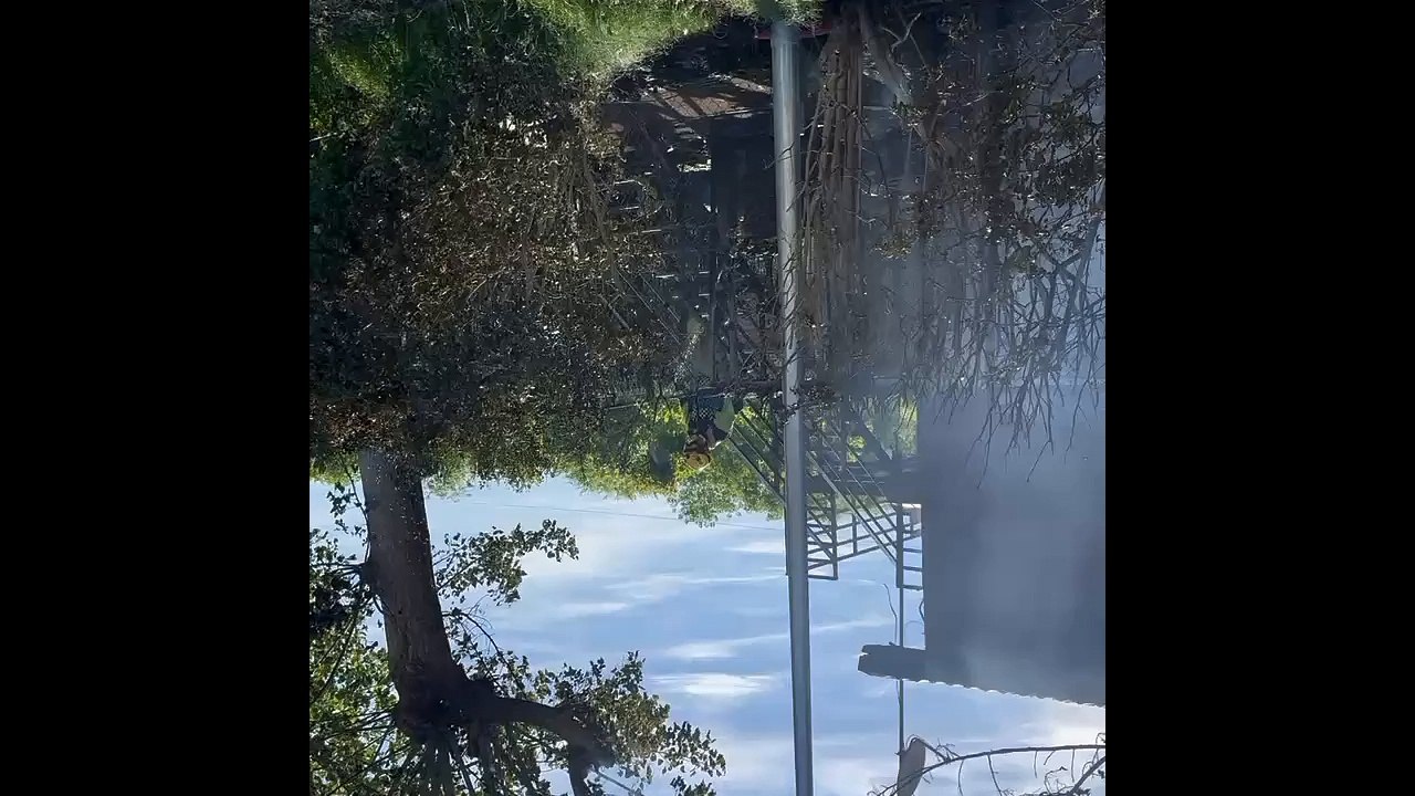 Un incendio calcina el camping de Navarrete
