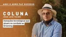 Aqui o agro faz sucesso: inovações tecnológicas que atuam no combate ao greening
