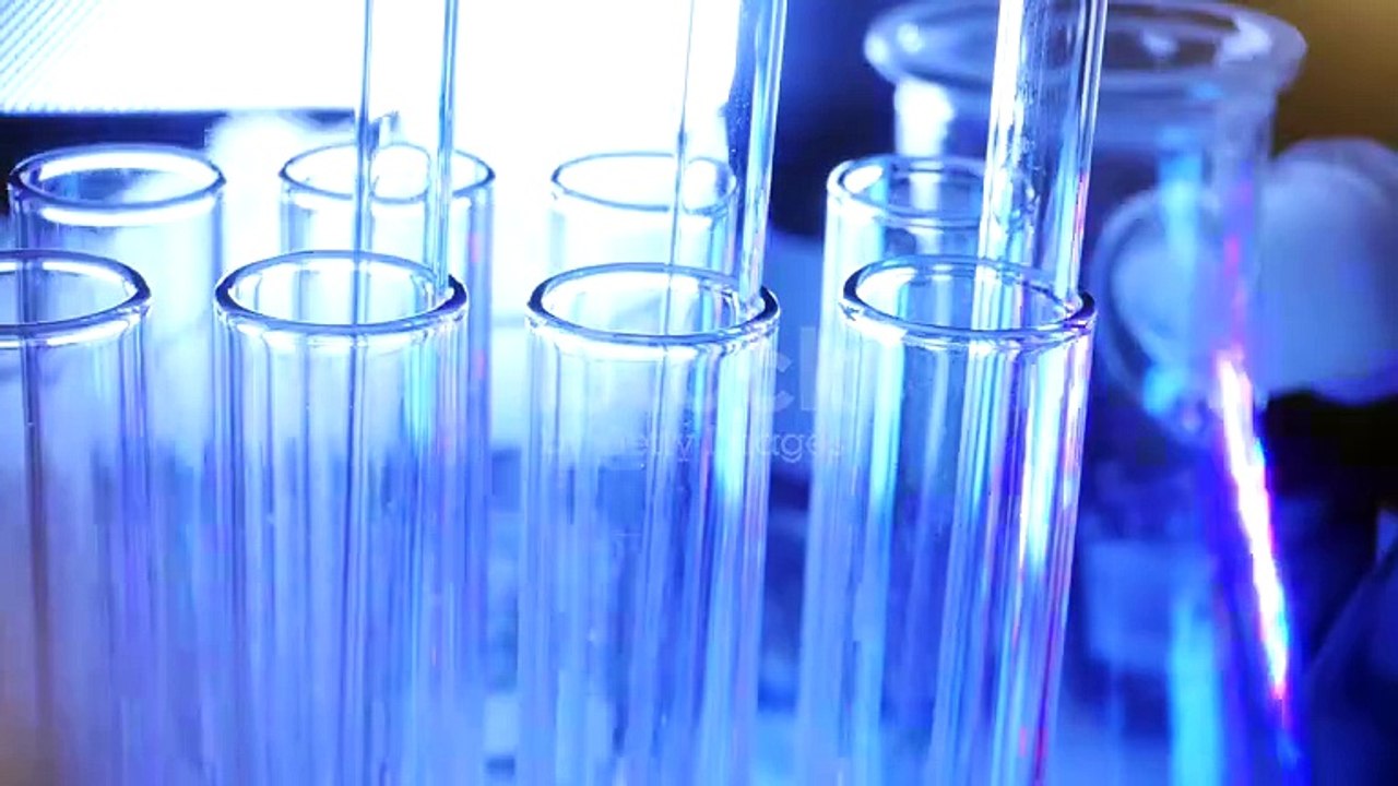 Prestige Raintree Park is far more than merely a residential development; it's an innovative city that effortlessly integrates comfort, convenience, and ecology.