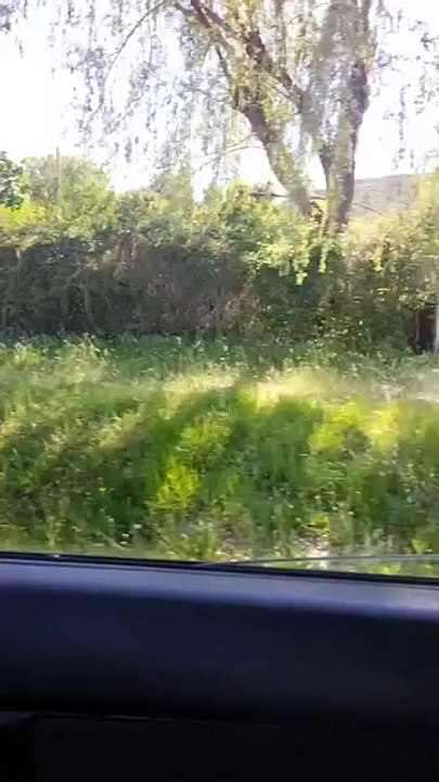 Un incendio calcina el camping de Navarrete