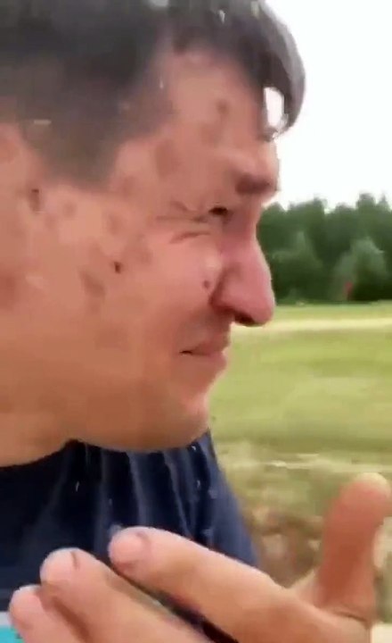 Quand des milliers de moustiques chargent en même temps