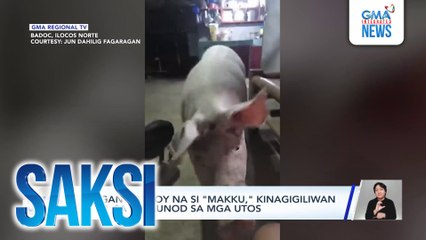 Saksi: (Part 3) Masunuring baboy; Surprise bday party para kay Andrea Torres; Pag-iyak prank ng isang bata