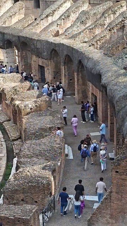 Colosseum, Rome, Italy / Colisée, Rome, Italie