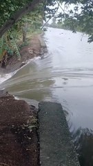 തോരാ മഴയും കിഴക്കൻ വെള്ളത്തിന്‍റെ വരവും ചതിച്ചു, കൈനകരിയിൽ മട വീഴ്ച..!! ആറായിരം ഏക്കറിലെ ആറുപങ്ക് പാടശേഖരം നിറഞ്ഞൊഴുകുന്നു