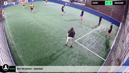 But de Mouly - orange