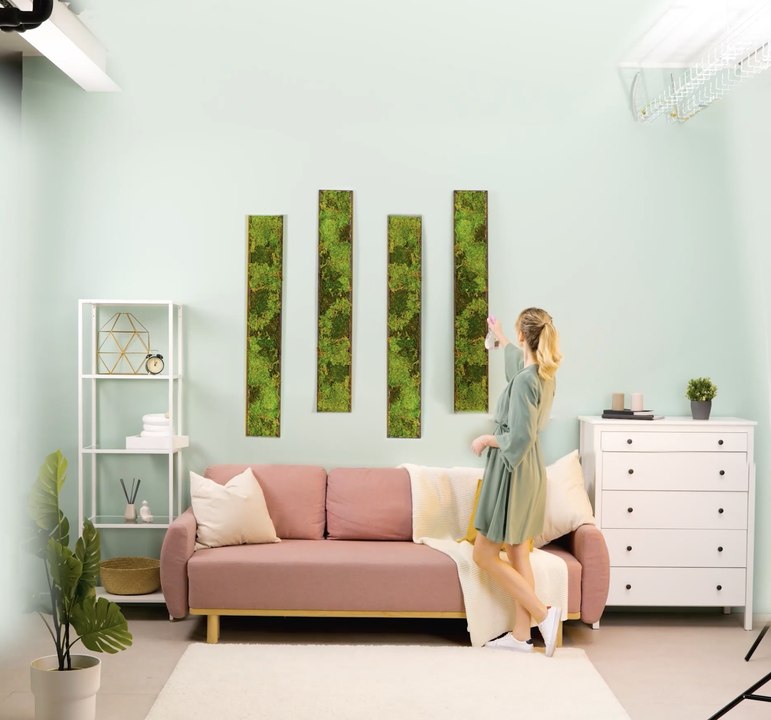 Des idées fraîches pour cultiver et soigner les plantes dans n'importe quel espace