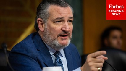 Ted Cruz Breaks Down The 'Dire' Challenges Facing FAA Amidst Continued Accidents
