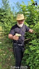 emHOME - Zohva S24+2025