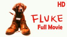 Fluke (1995) Full Movie HD