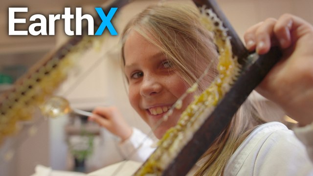 Brooke Carter Visits a Blueberry Farm | Wild Wonders with Brooke | EarthX