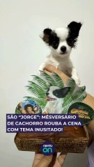 'São Jorge': mêsversário de cachorro rouba a cena com tema inusitado