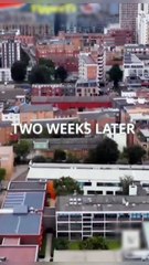 A Surrogate For The Alpha King - Full Movie