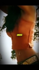 Why’s the Same Trainer Linked to Rebels?