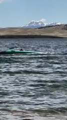 Guy Attempt Flip. on Paddle Board