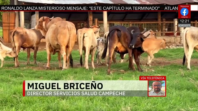 Campeche: Director de Servicios de Salud nos da detalles de la mujer con gusano barrenador