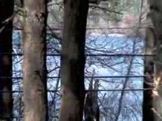 Duxbury, Massachusetts (MA) real estate 02332