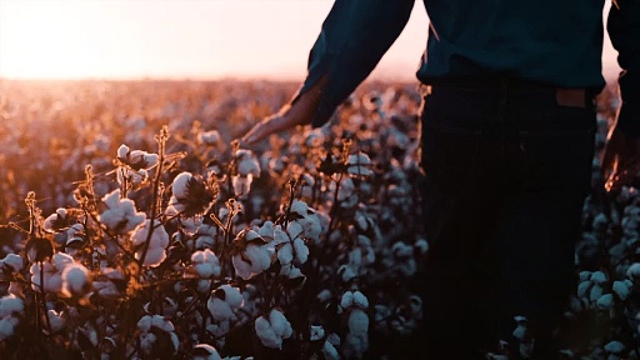 Locals can't buy bras socks or jocks in one of Australia's cotton capitals