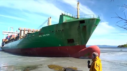 Cargo ship refloated after narrowly missing Norwegian man's home _ REUTERS