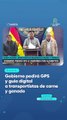Gobierno pedirá GPS y guía digital a transportistas de carne y ganado
