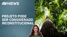 Novo marco ambiental pode ser questionado no STF; Patrícia Costa analisa