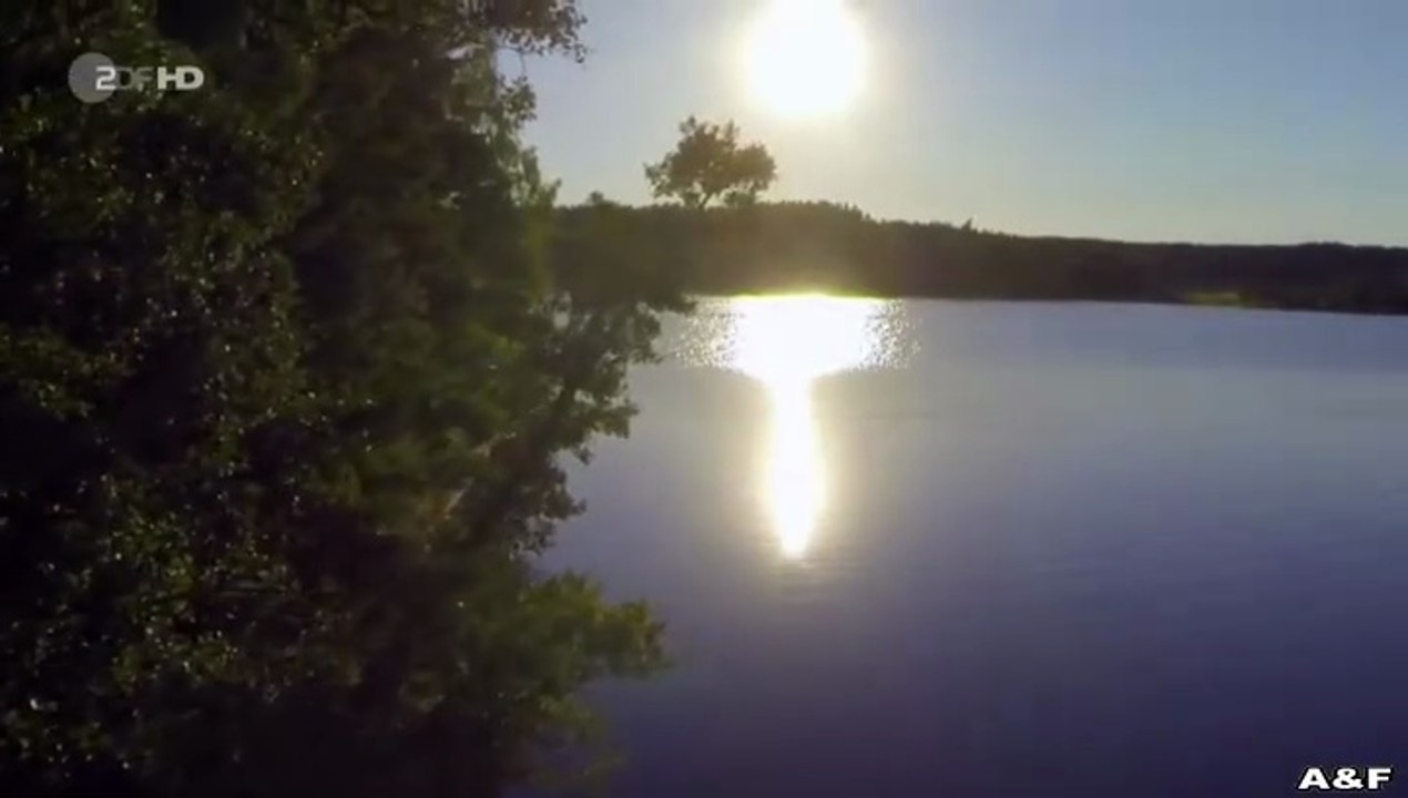 Inga Lindström -065- Willkommen im Leben