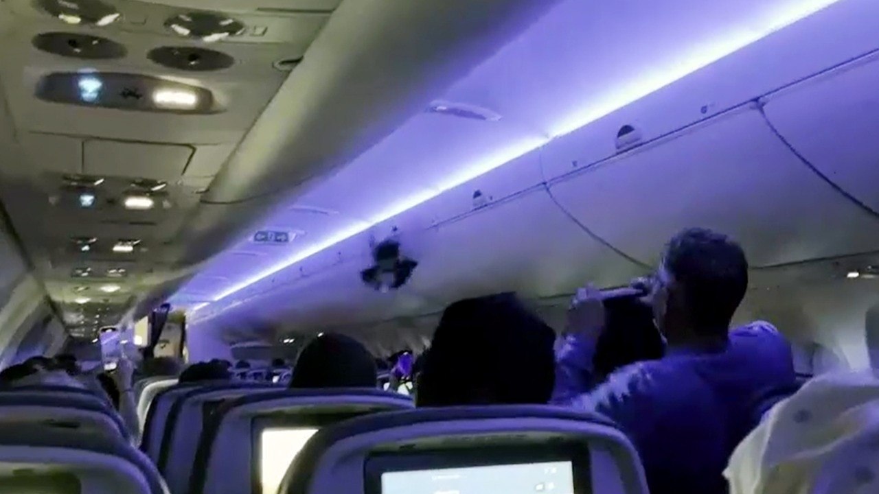 Watch: Man tries to catch pigeon after it enters US flight minutes before takeoff