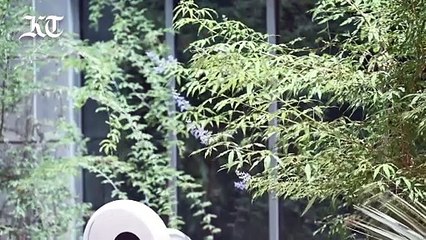 'It's everything': How UAE preserves every plant, seed for 100 years