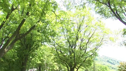 [날씨] 내일도 초여름, 대전 28도...강한 자외선·소나기 주의 / YTN