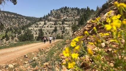 Burası insanı iyileştiriyor: Adeta yeşil bir deniz!