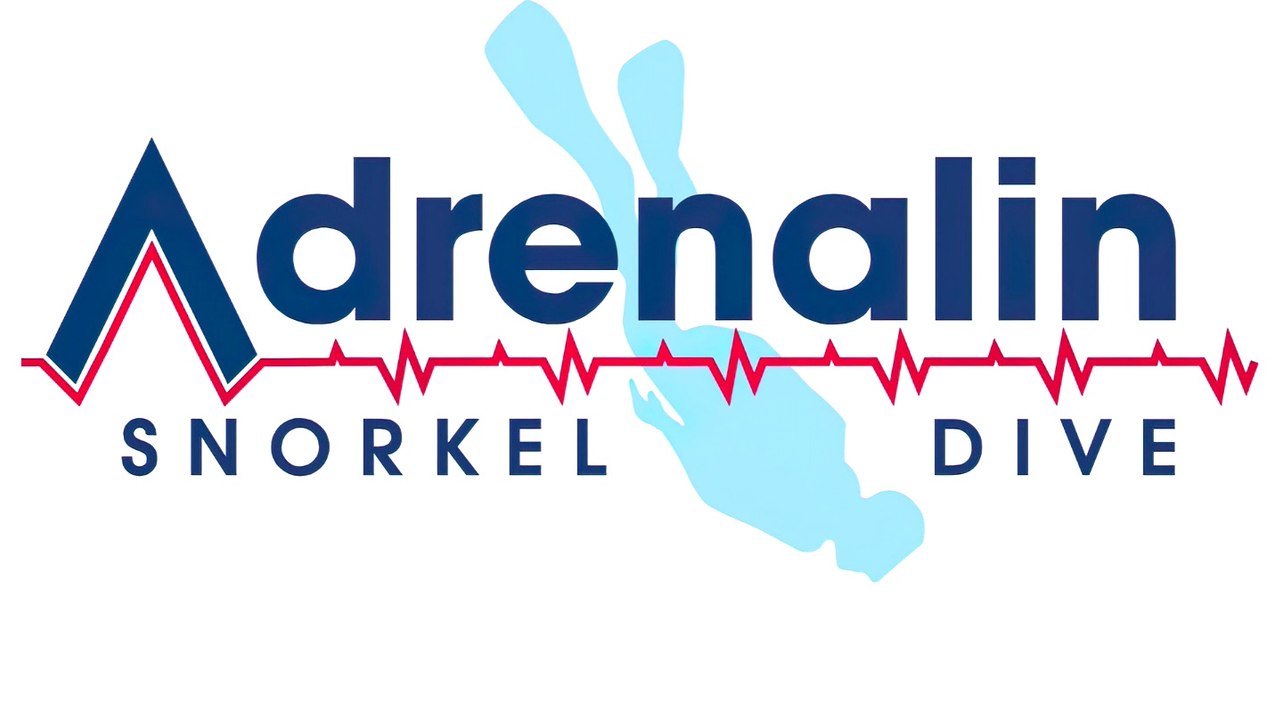 Adrenalin Snorkel & Dive Townsville Queensland Australia