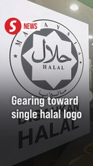 Malaysia, Indonesia to spearhead single global halal logo