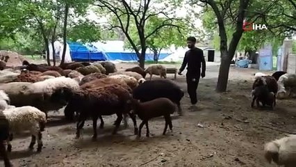 Türkiye'nin en özel lezzeti Avrupa Birliği'nden coğrafi işaret almayı başardı