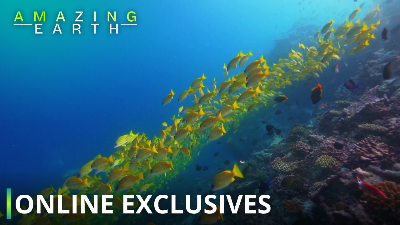 Amazing Earth: What makes ‘Amazing Earth’ so captivating! (Online Exclusives)