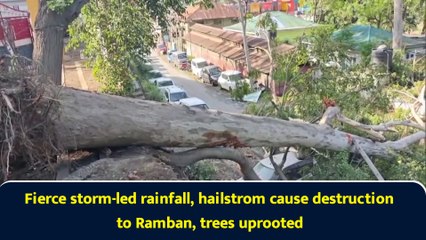 Fierce storm-led rainfall, hailstrom cause destruction to Ramban, trees uprooted